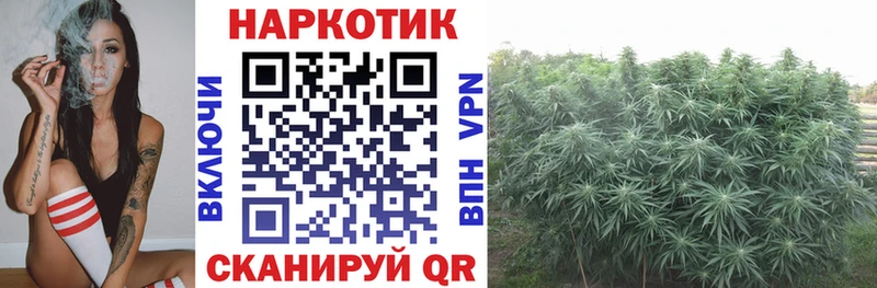 Наркошоп купить Конопля  Меф мяу мяу  APVP  Гашиш  Галлюциногенные грибы  COCAIN  Межгорье