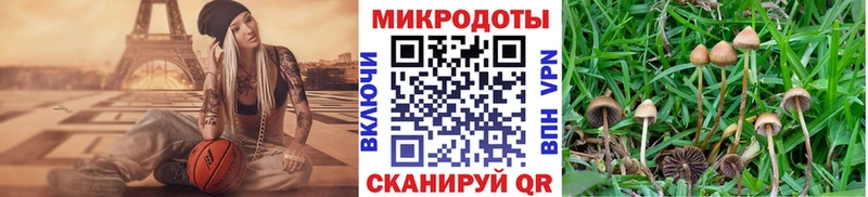 Купить закладки  Межгорье  Галлюциногенные грибы Psilocybine cubensis 