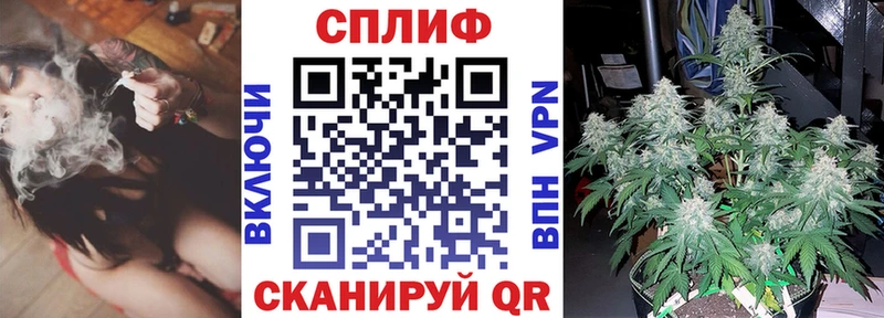 Конопля SATIVA & INDICA  Купить  Межгорье 
